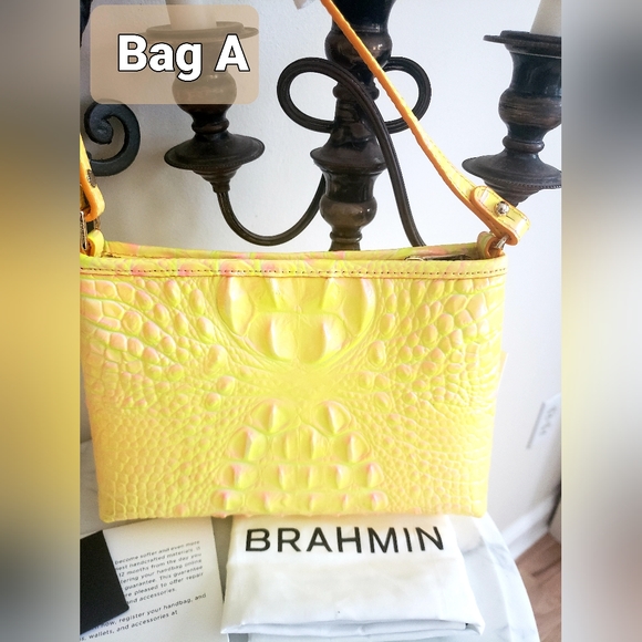 Brahmin - Picture 3 of 7